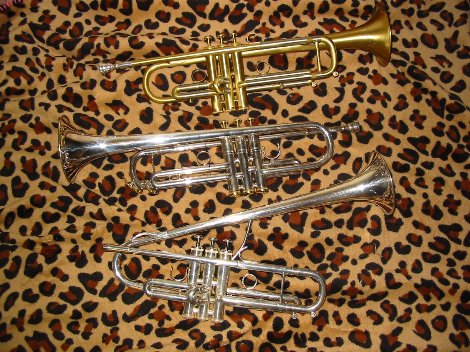 getzen trumpet serial number list