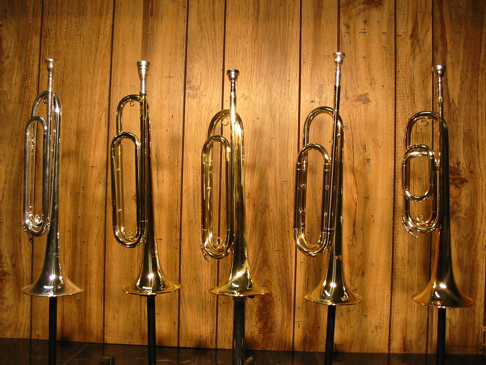 two valve bugle